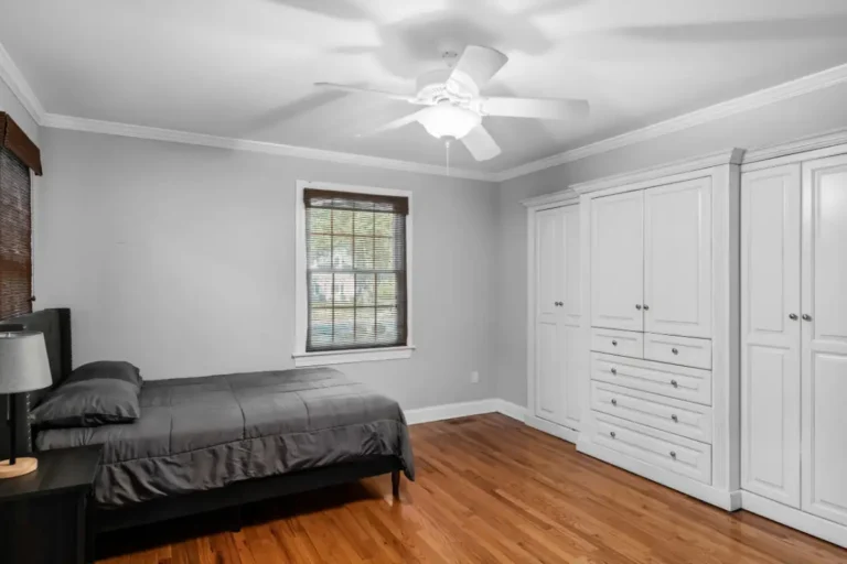 The White House (11)